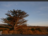 _MG_6826 * 3504 x 2336 * (5.05MB)