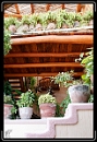 IMG_7866 * 2336 x 3504 * (5.74MB)