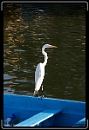 IMG_8110 * 2336 x 3504 * (3.7MB)