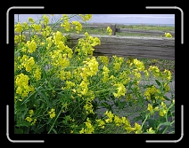 DSCN5901 * 2048 x 1536 * (1.1MB)