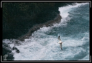 IMG_6224 * 760 x 520 * (365KB)