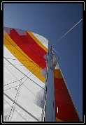 IMG_6333 * 520 x 760 * (288KB)