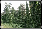 _MG_6342 * 1728 x 1152 * (1.97MB)