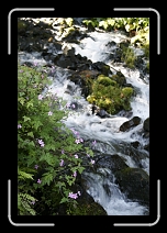 _MG_0911 * 1152 x 1728 * (1.41MB)