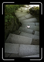 _MG_0976 * 1152 x 1728 * (1.54MB)