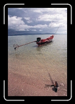 710 * 1601 x 2401 * (5.07MB)