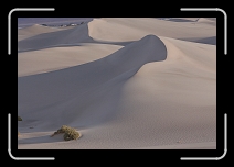 StovepipeDunes_2809 * 3504 x 2336 * (3.96MB)