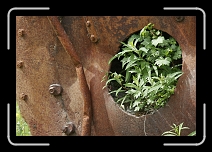 _MG_0409 * 1728 x 1152 * (1.28MB)